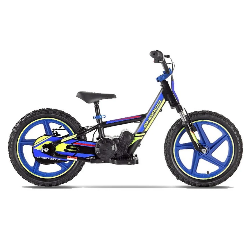 Electric Off Road